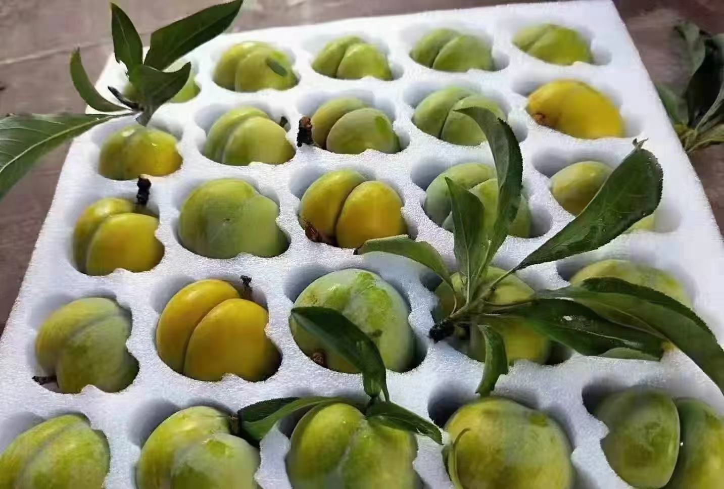 一张木质托盘上摆放着精致包装的蜂糖李礼盒,打开后内衬海绵固定着6颗完整果实;旁边是一颗被横向切开的蜂糖李,露出乳白色果肉和小巧的果核,汁水欲滴,背景虚化的桌面上还有玻璃杯中的李子果汁 蜂糖李礼盒与切开展示图