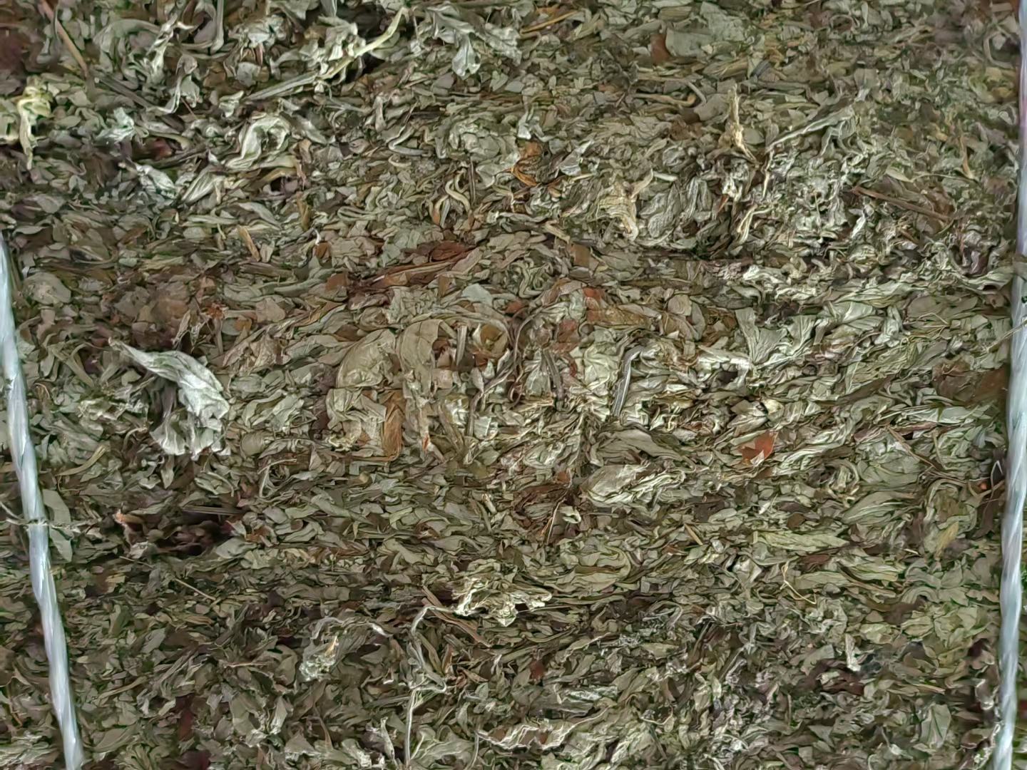 艾叶白胡椒泡脚