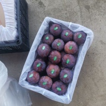 黑总统，黑琥珀，红布林，青脆李马上大量上市了