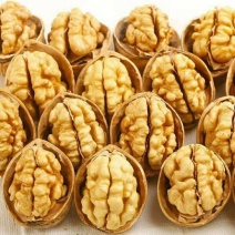 【新货】新疆薄皮纸皮核桃散装原味坚果零食阿克苏批发价