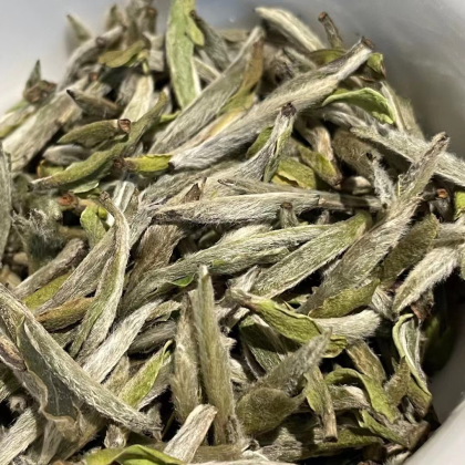 125克一铁盒正宗福鼎白毫银针大白茶福建宁德霞浦县周边产地价格行情