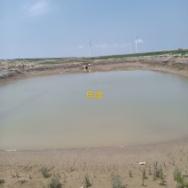 山东滨州600多亩鱼塘对外承包也可合作养殖