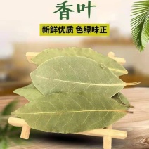 香叶卤肉料天然月桂叶去腥増香桂皮香料调味料香叶批发炖肉
