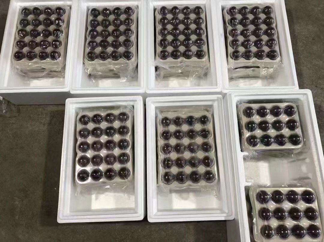 一个明亮整洁的展台上摆放着多种东魁杨梅加工产品,包括玻璃瓶装深红色杨梅酒、透明罐装杨梅蜜饯、独立小包装冻干杨梅、纸盒装杨梅果汁饮品、以及带有品牌标识的礼盒套装,背景为现代化食品加工厂或展厅环境 东魁杨梅深加工产品陈列展示台