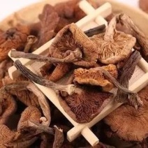 东北野生榛蘑，非种植。小鸡炖蘑菇，榛蘑营养丰富。