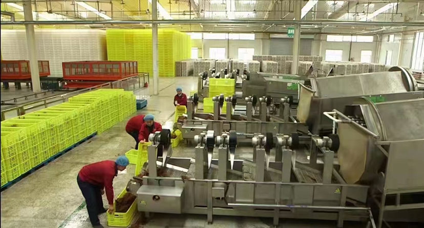 实验室提取过程图