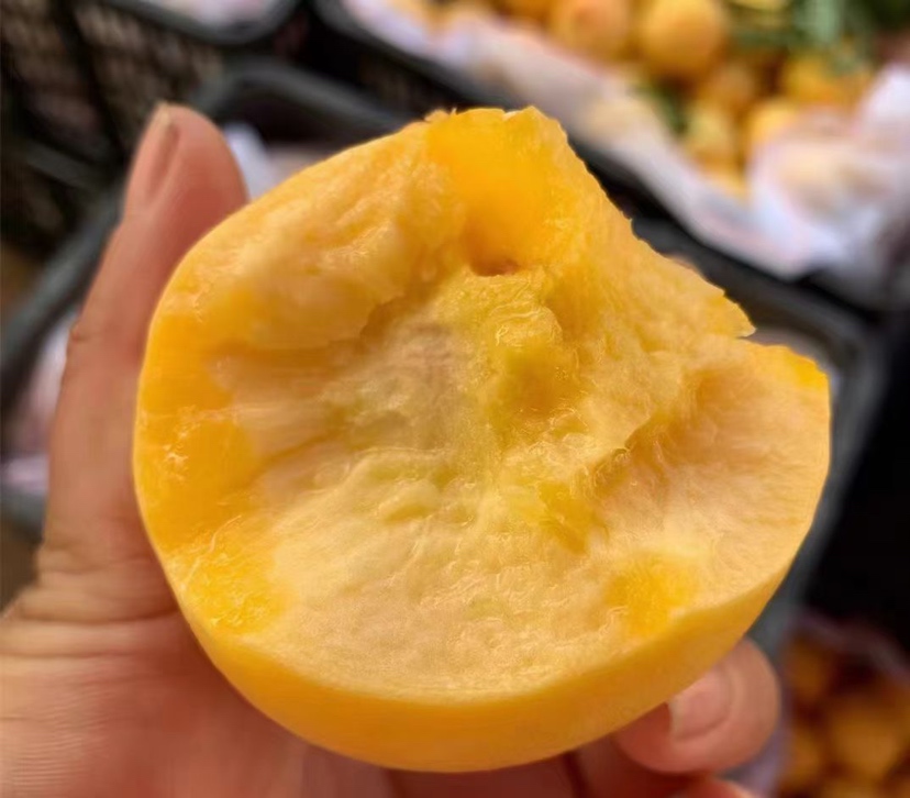 切开的黄油桃露出金黄色果肉,质地细腻,汁水丰富 黄油桃切开果肉展示