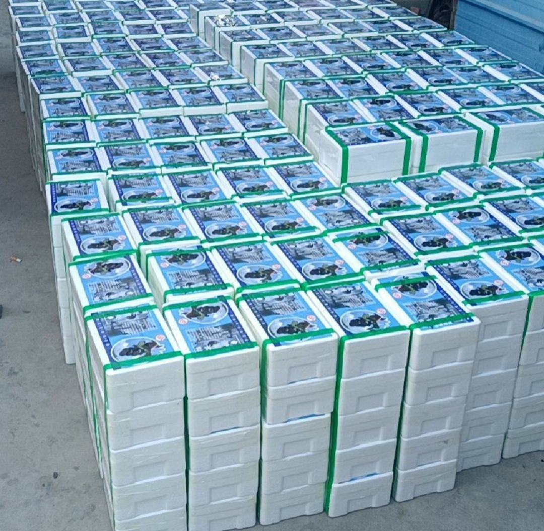 蓝莓电商销售趋势柱状图