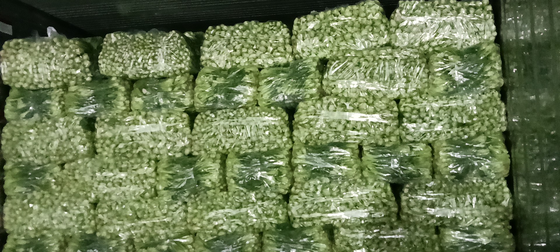 不同植物油瓶装产品展示