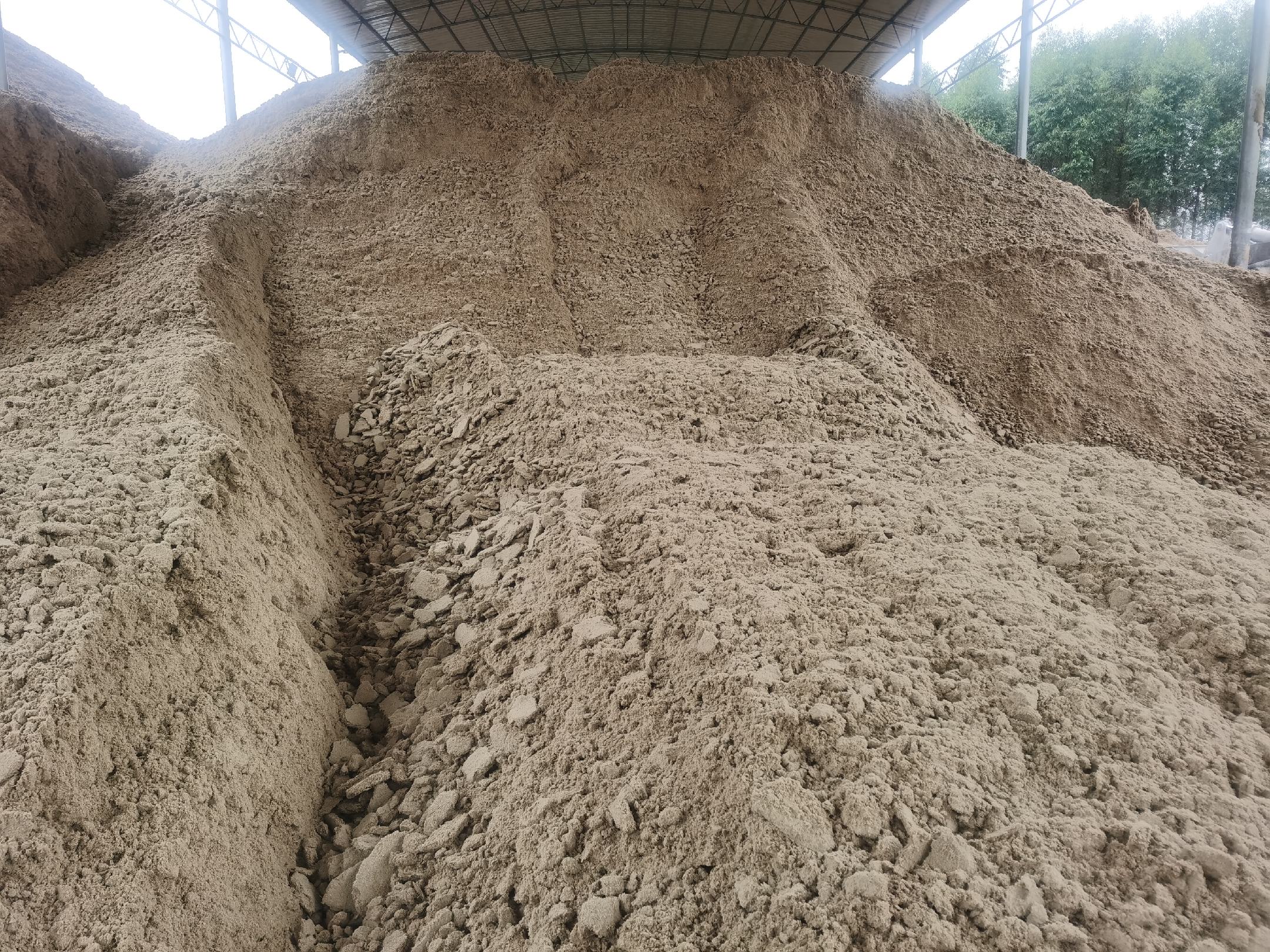 甘蔗施肥示意图