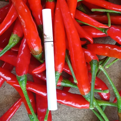 河南安阳内黄县朝天椒价格行情走势 - 一亩田