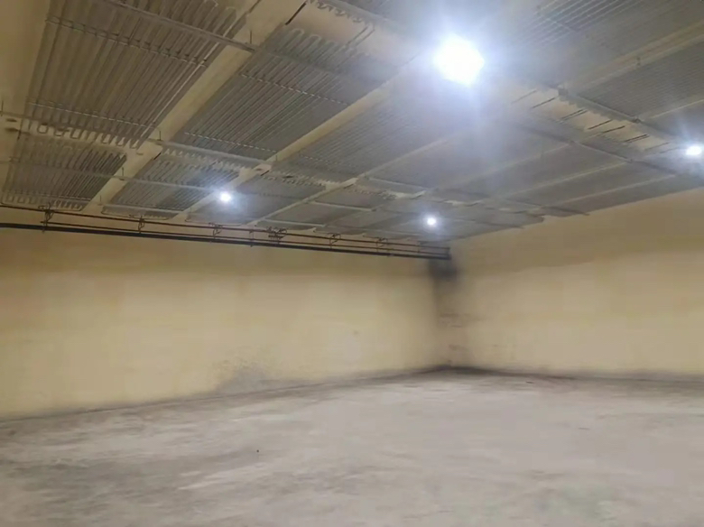 毛豆深加工产品展示图