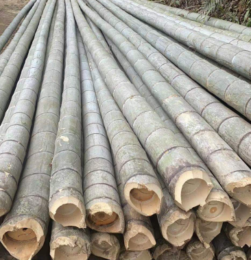 [楠竹批发]常年出售9米到12米楠竹,海竹,有需要的老板请联系价格18.