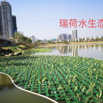 人工浮岛生态浮岛浮床组装种植打造水域景观
