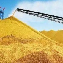 收中石化审批转物权单