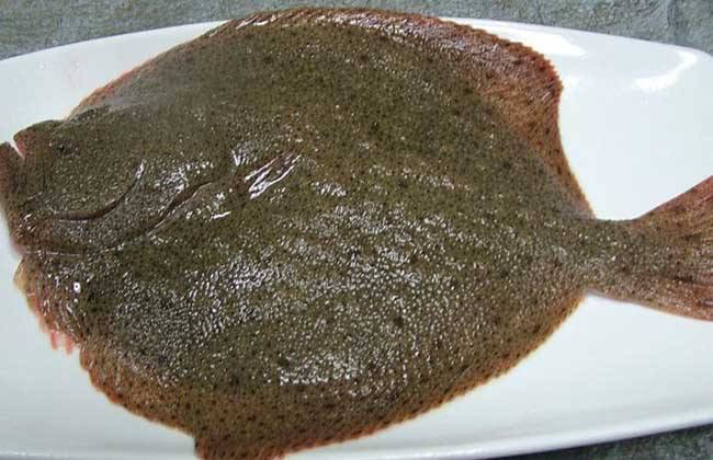 多宝鱼的营养价值及功效