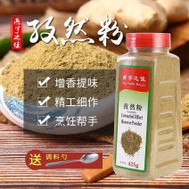 新疆孜然粉正宗烧烤调料烧烤撒料羊肉串烤肉蘸料425克