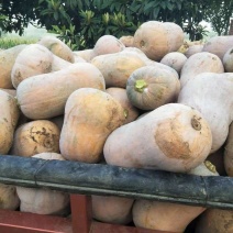 奶油南瓜，枕头南瓜，西瓜，板栗南瓜