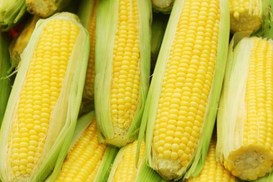 超市货架上的水果玉米展示