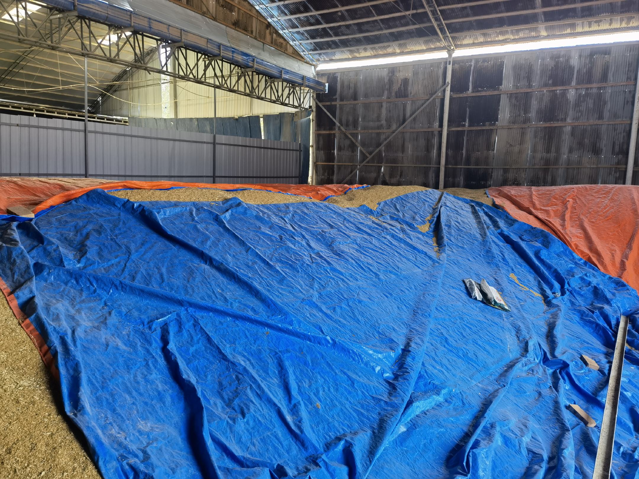 农田边缘立有“危险区域”警示牌,旁边整齐摆放着防护服、手套和面罩 农田边警示牌与防护装备摆放