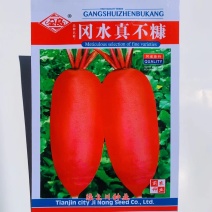 冈水真不糠萝卜种子口感脆甜可做水果食用红皮萝卜种子春秋