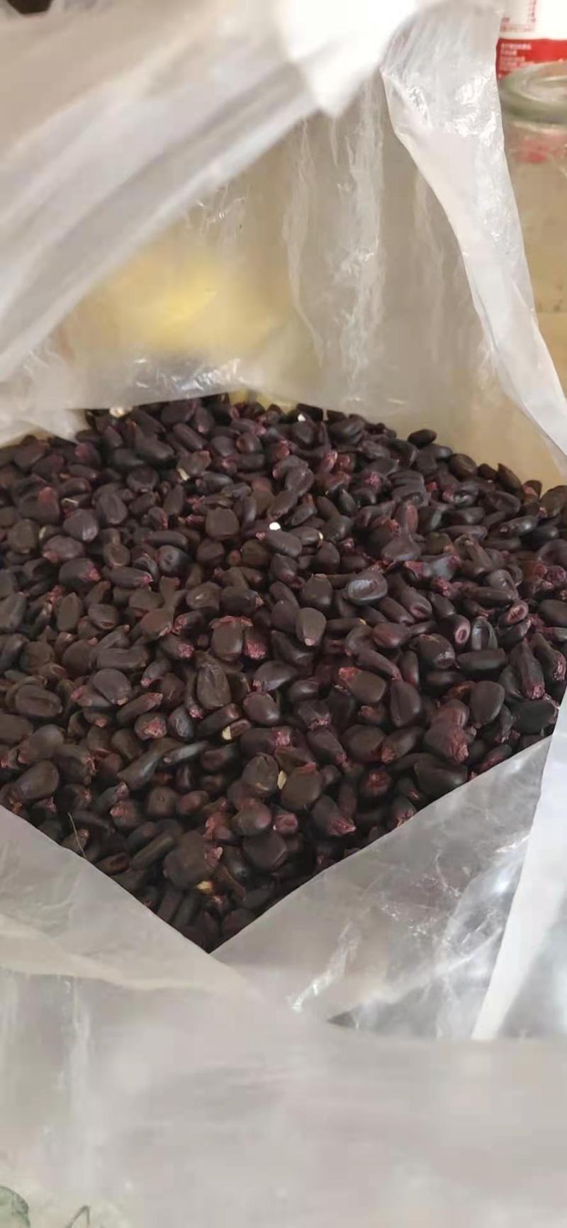 紫玉米花青素大量出售