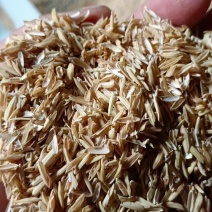 新鲜优质除尘稻壳