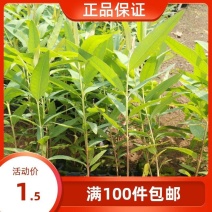 广9，29号