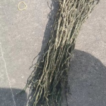 干豆角