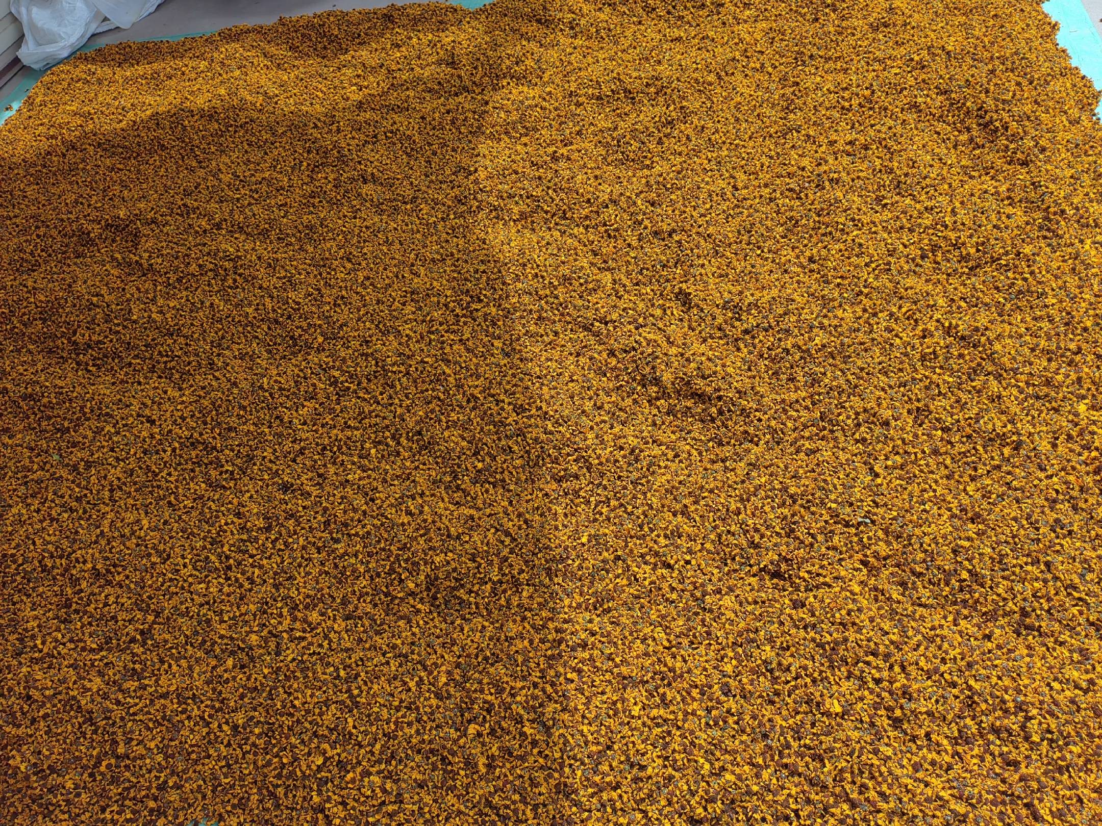 天山雪菊茶干花特写图