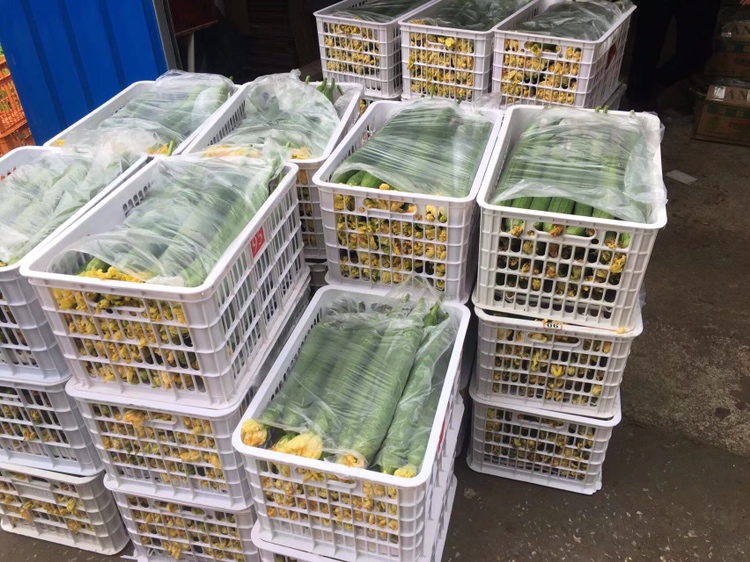 花蛤批发市场的热闹场景