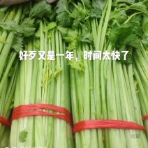 芹菜，菌棒