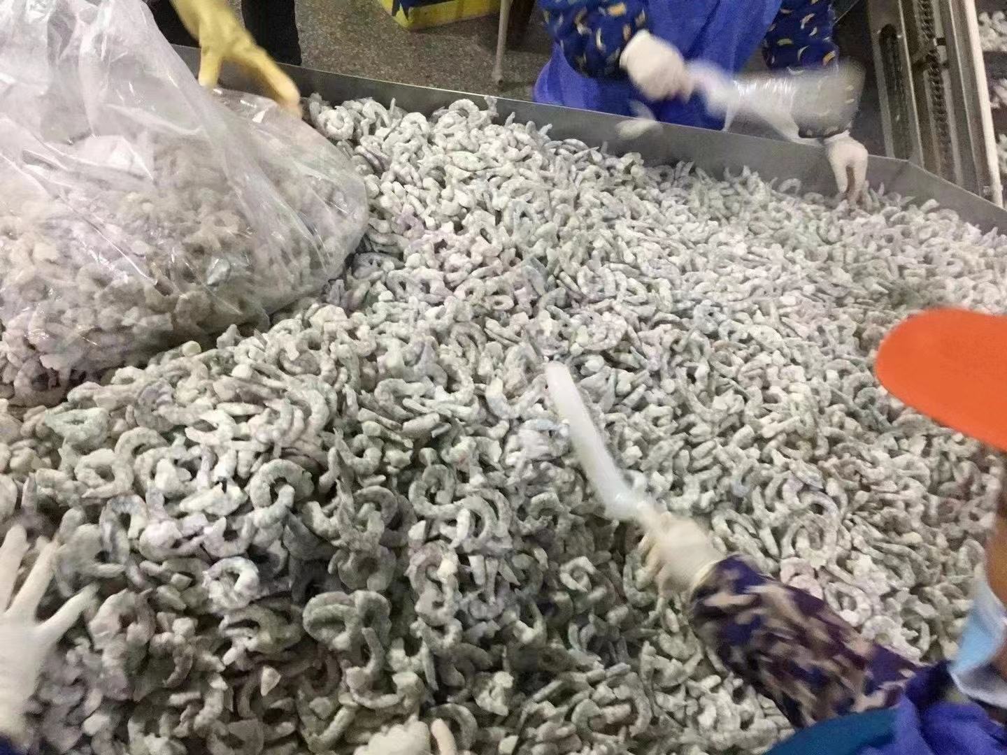 对虾加工厂
