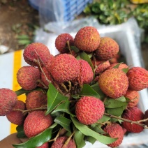 荔枝糯米桂味龙眼黑叶