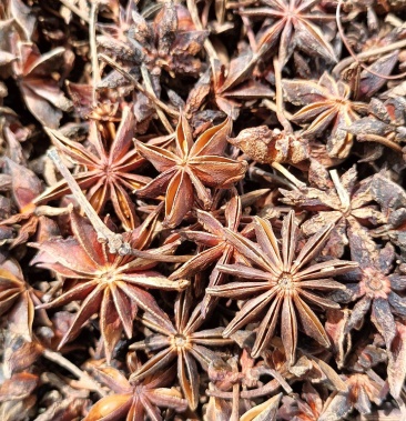 [八角批发]广西藤县水烫八角,无硫黄,自然晒干,农户自产自卖,足干价格