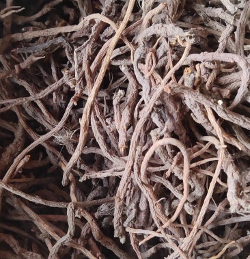 [防风批发]云南纯野生竹叶防风,包检价格160.00元/公斤 - 一亩田