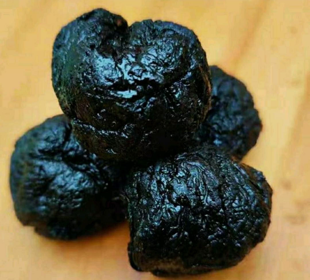 黑芝麻熟地黄配伍作用机制示意图