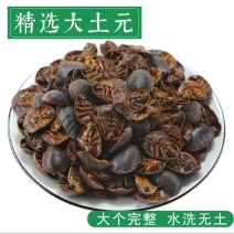 土元地鳖虫地别规格齐全干净无杂质土元地道中药材