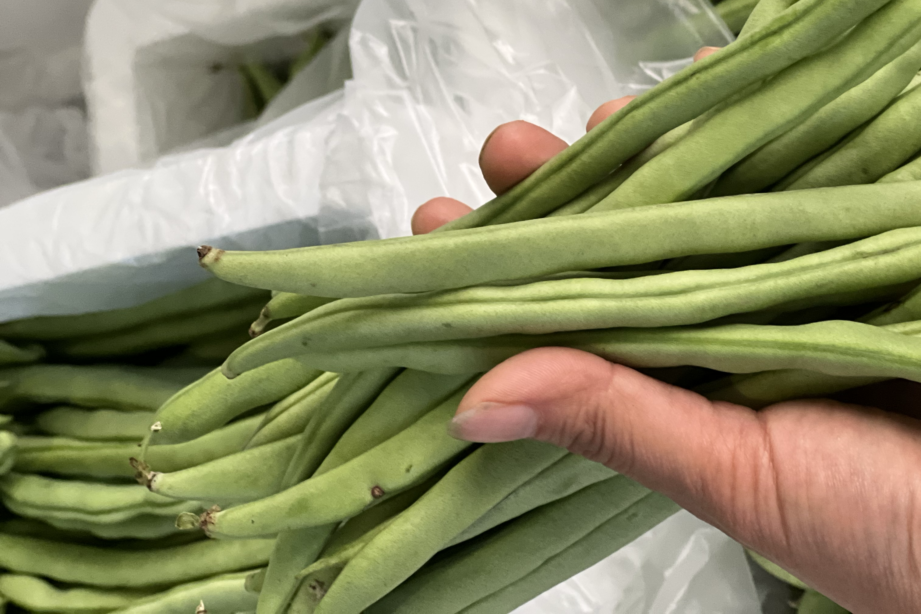 清炒白扁豆成品图