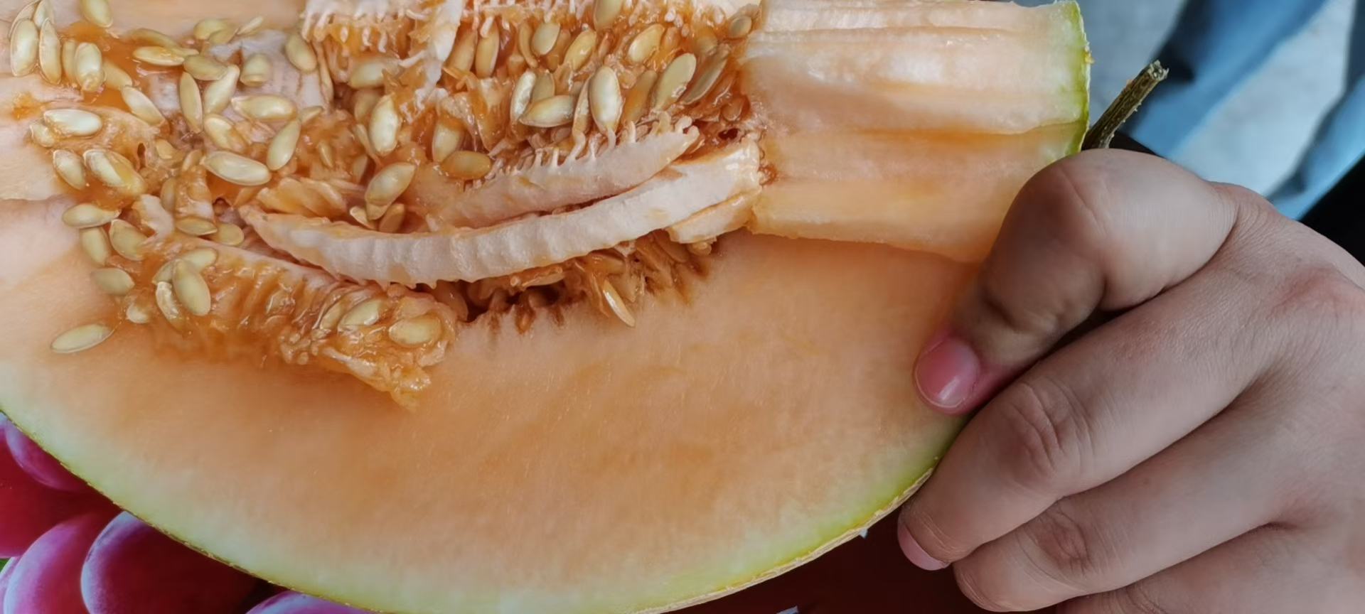 伽师瓜与哈密瓜切开对比图