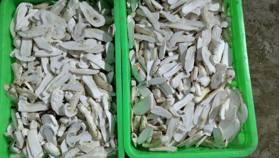 松茸与绿豆分阶段烹饪示意图