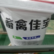畜禽佳宝蛋鸡专用饲料，营养丰富，提高产蛋率