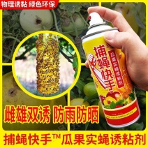 瓜果实蝇诱粘剂针蜂引诱剂果蝇诱捕药果蝇球诱蝇球双面粘虫板