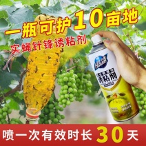 瓜果实蝇针蜂诱粘剂果树诱捕剂昆虫针蜂药喷雾杀虫喷雾果蝇诱