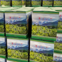 高山云雾绿茶批发明前茶豆香味口粮茶500克茶叶自己喝