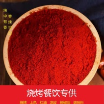 烧烤餐饮辣椒面辣椒粉香辣上色卤味调色凉皮烧烤撒料蘸料辣椒