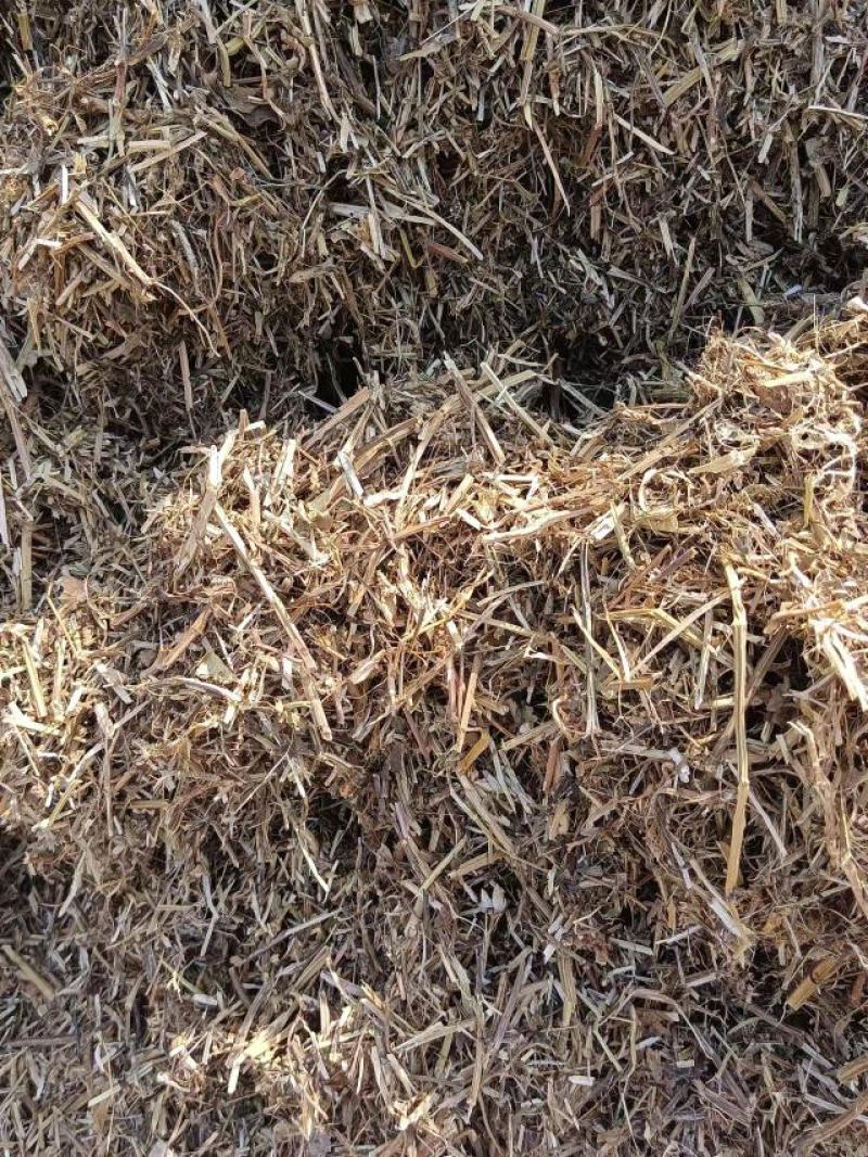 花生秧河南商丘民权牛羊草料量大从优欢迎咨询