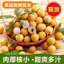 广东不同品种龙眼上市，直供电商，市场，工厂，商超量大从优
