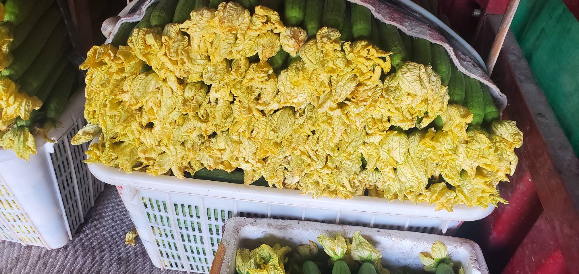 丝瓜炒鸡蛋成品图