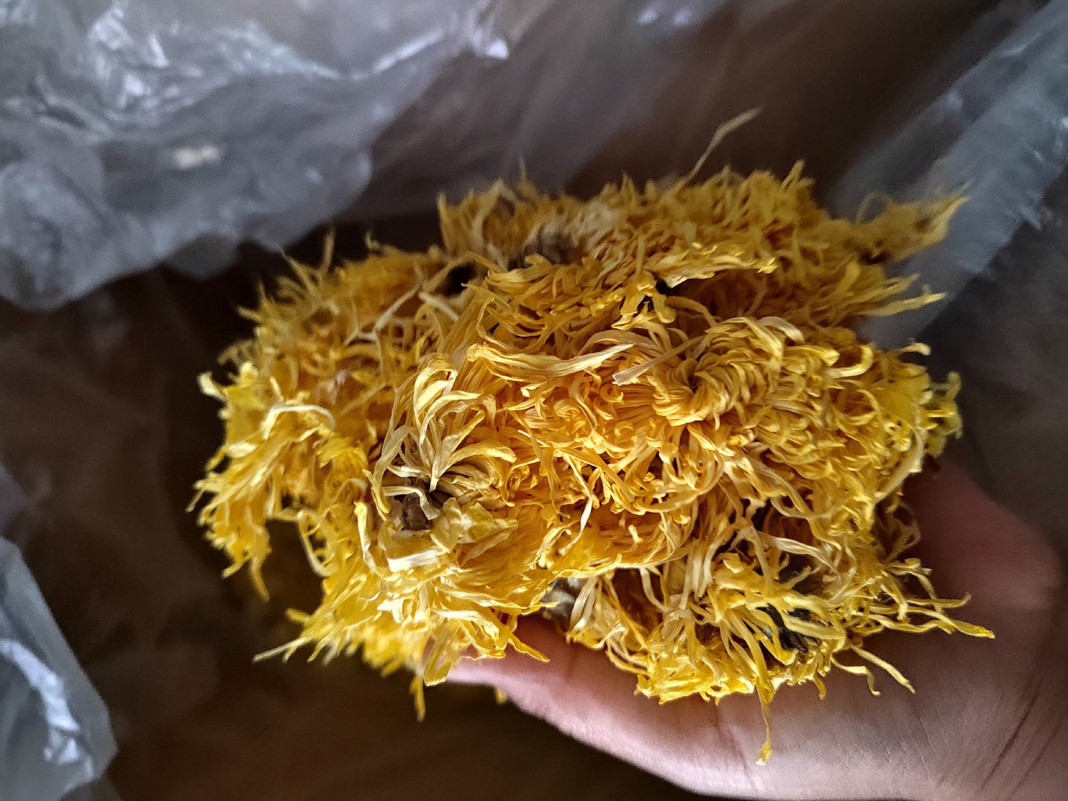 展示金丝皇菊干燥花的细节,花瓣紧密,色泽金黄,形态完整 金丝皇菊茶干花特写